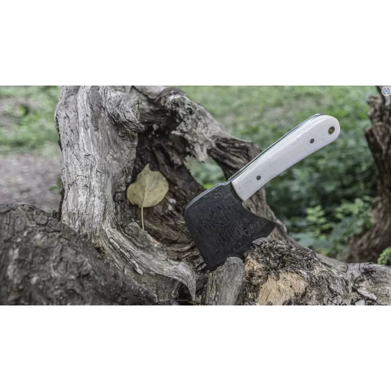 TOAD Tante Mary 3 TOAD Tante Mary