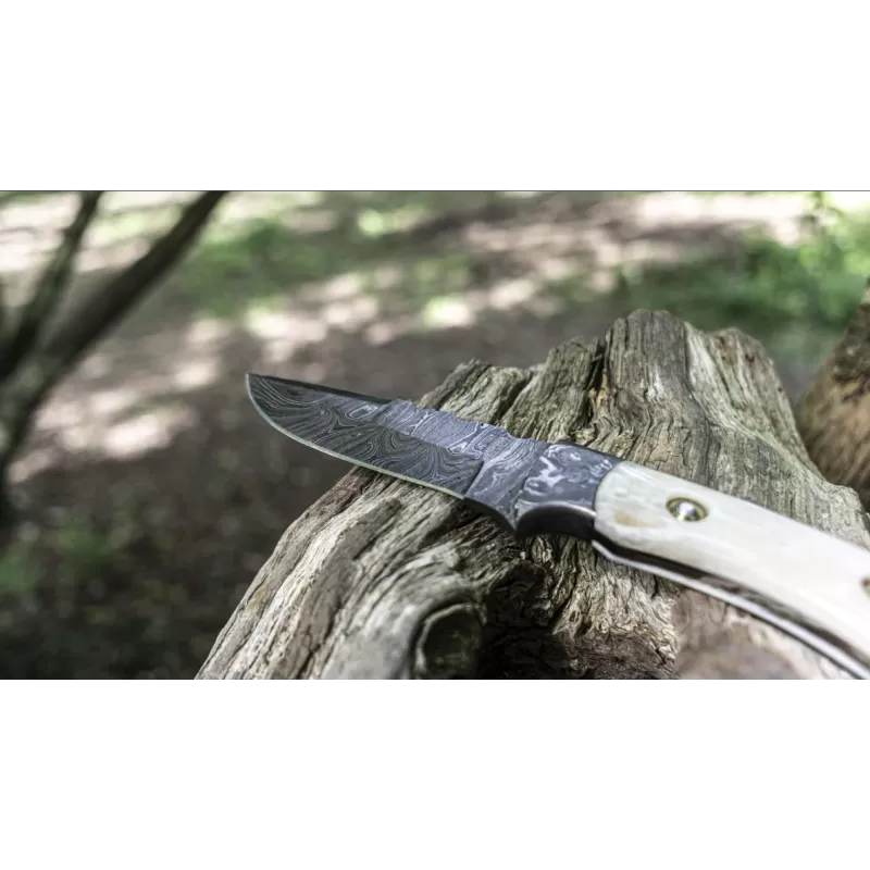 TOAD Cousin Billy 4 TOAD Cousin Billy – Image 2