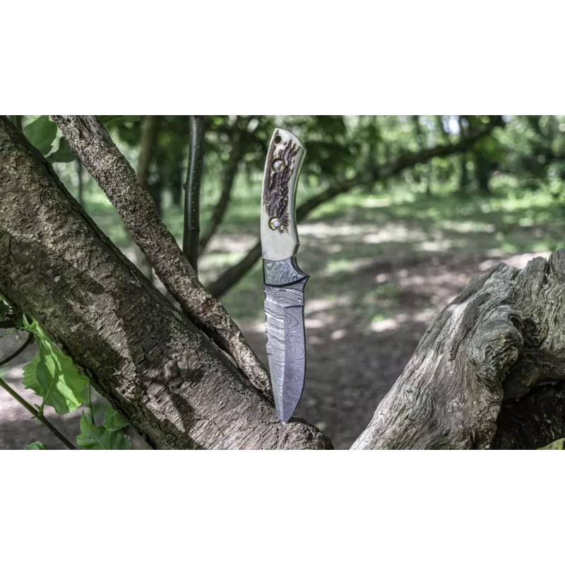 TOAD Cousin Stan 3 TOAD Cousin Stan – Image 2