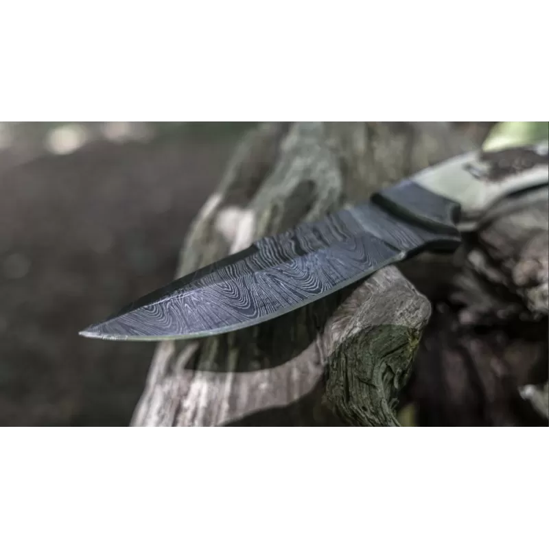 TOAD Cousin Stan 2 TOAD Cousin Stan