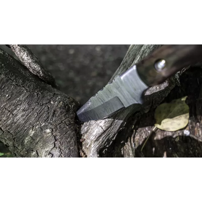 TOAD Cousin Walter 4 TOAD Cousin Walter – Image 2