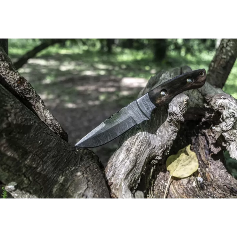 TOAD Cousin Walter 3 TOAD Cousin Walter