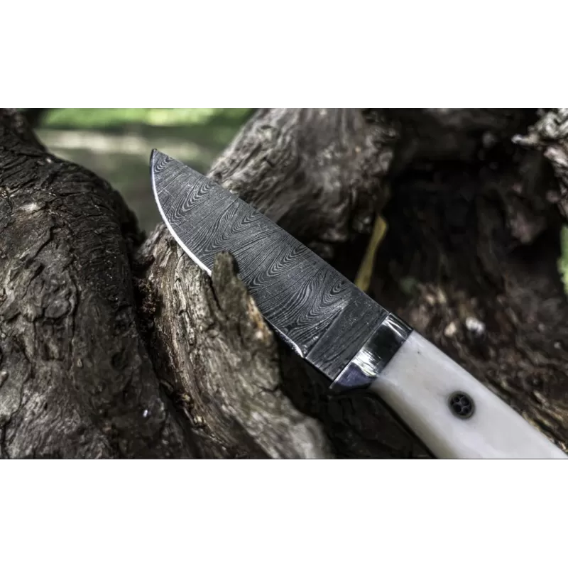 TOAD Unclesam 4 TOAD Unclesam – Image 2