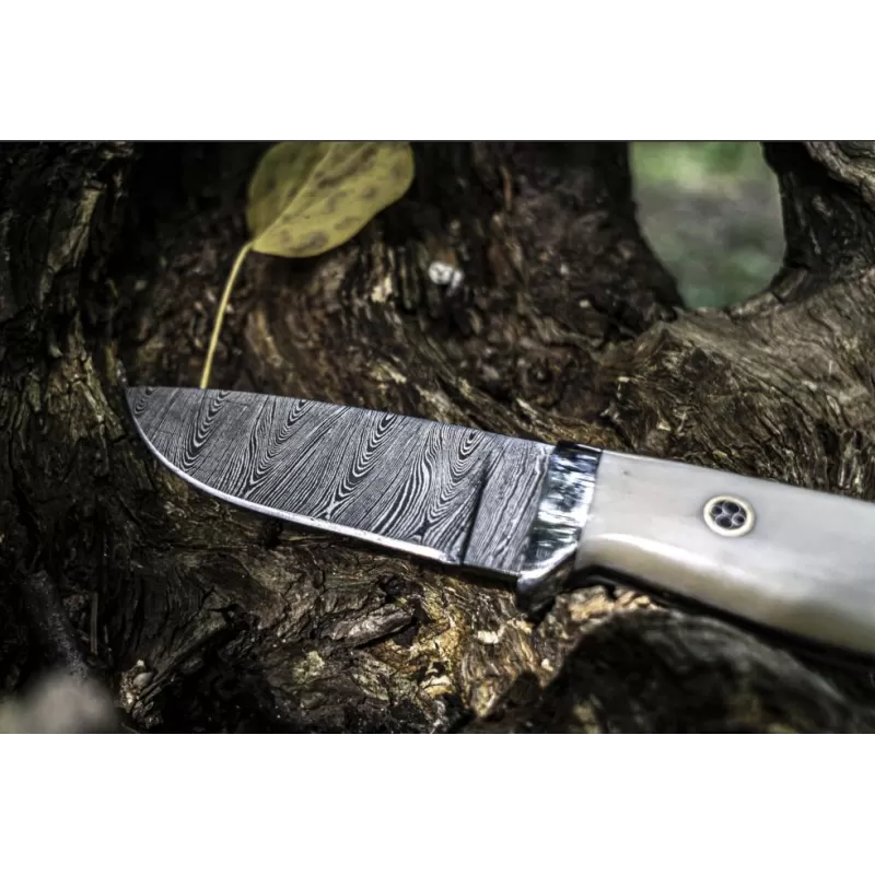 TOAD Unclesam 3 TOAD Unclesam