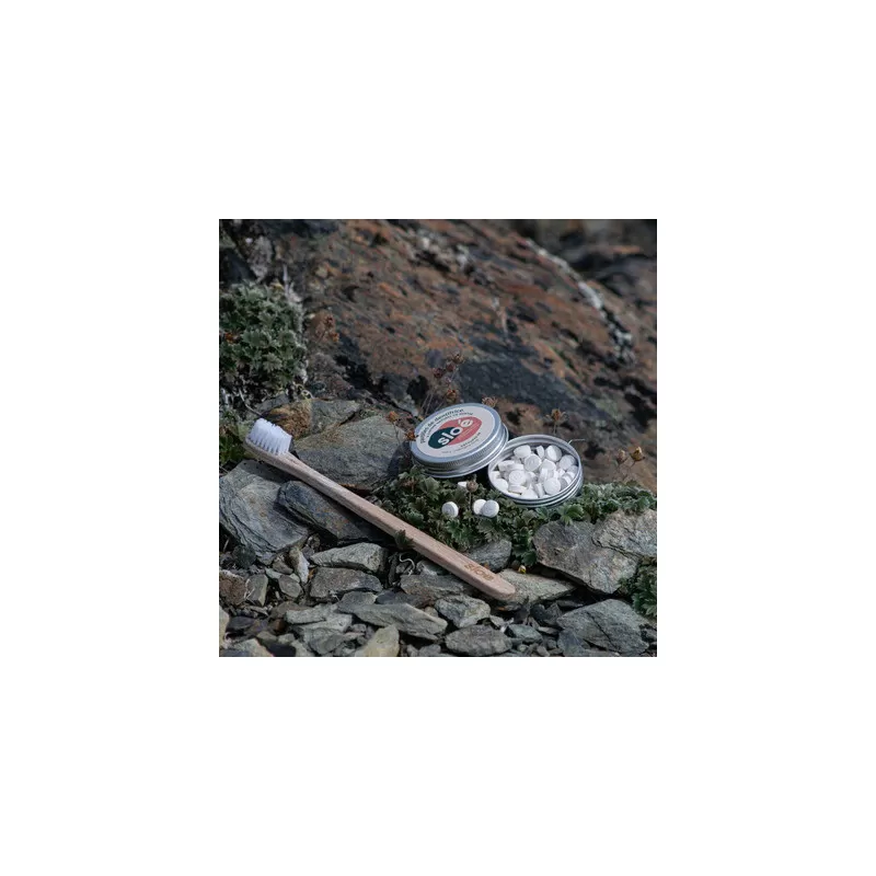 SLOÉ Dentifrice Solide En Pastilles | Menthe 4 SLOÉ Dentifrice Solide En Pastilles | Menthe – Image 2