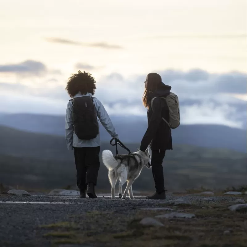 THULE AllTrail 22L 9 THULE AllTrail 22L – Image 7